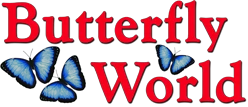 Butterfly World promotions 