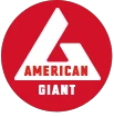 American Giant promotions 