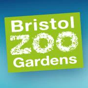  Bristol Zoo promotions