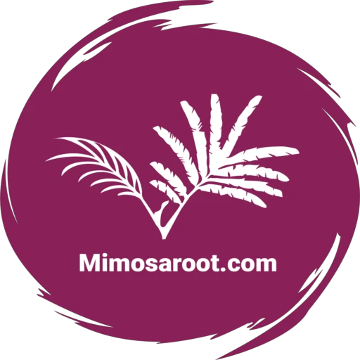 Mimosaroot.com promotions 