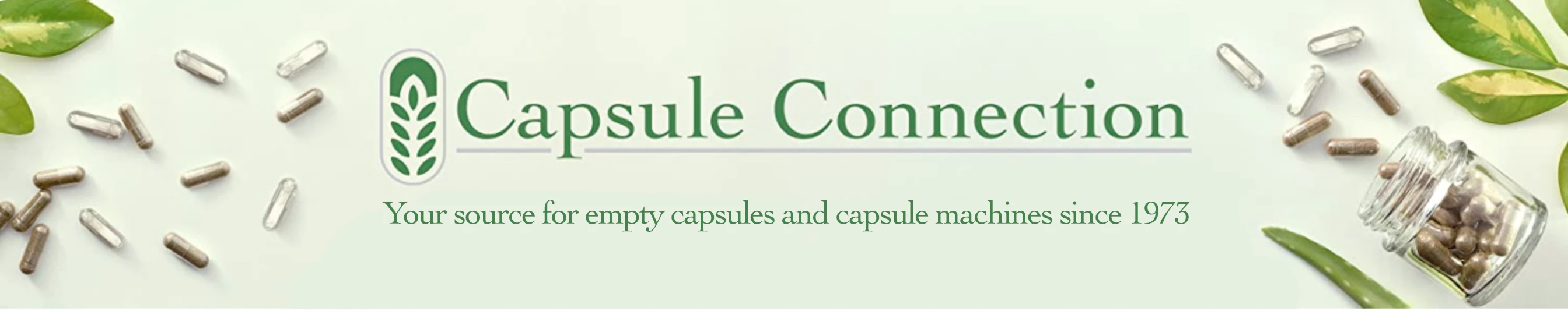  Capsule Connection promotions