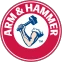  Arm And Hammer promotions