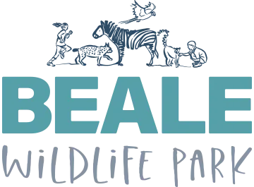 Beale Park promotions 