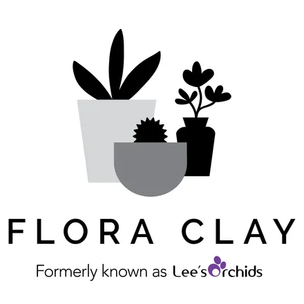  Flora Clay promotions