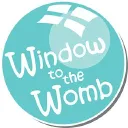  Window To The Womb promotions