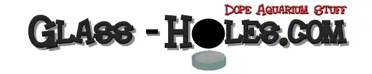 glass-holes.com