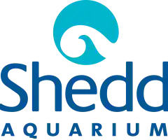  Shedd Aquarium promotions