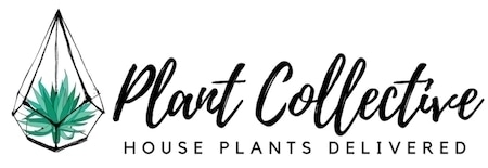 plantcollective.co